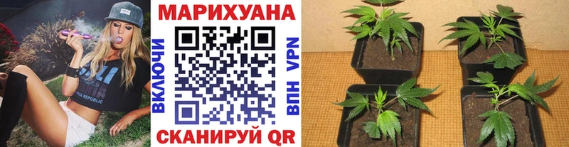 Конопля AK-47 купить закладку Сретенск